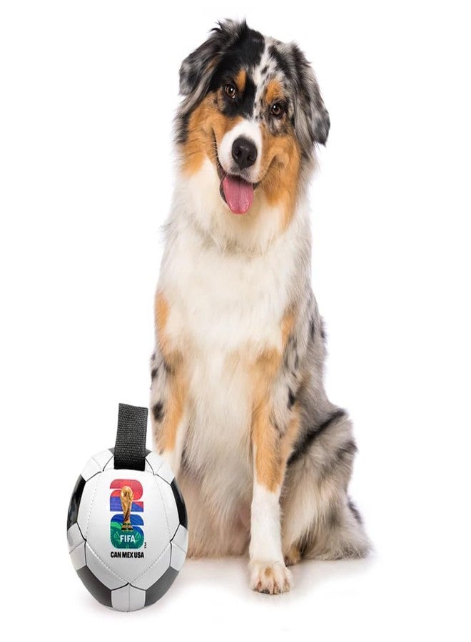 Littlearth Pet Soccer Ball Toy – Officially Licensed FIFA World Cup 2026 - Image 2